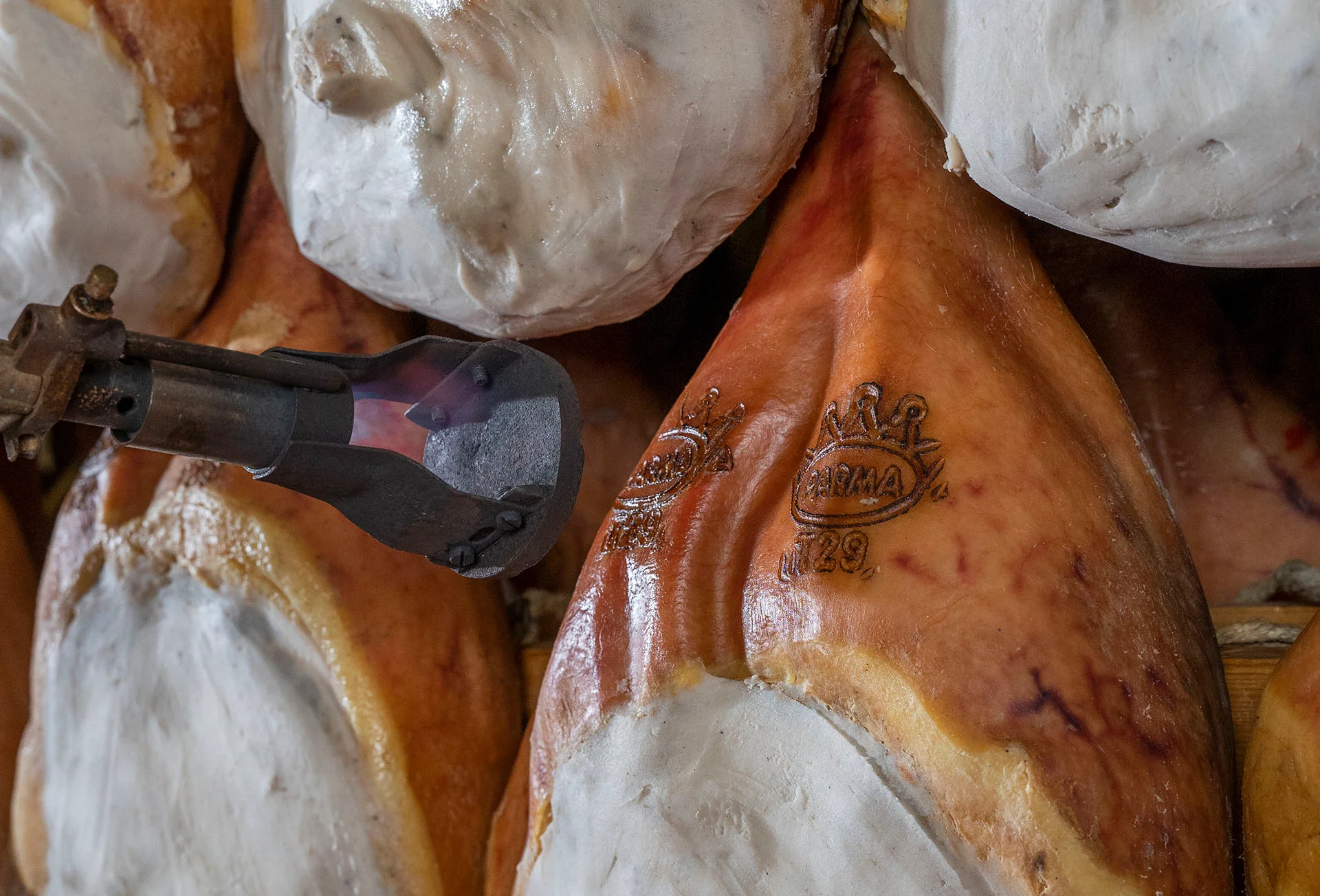 Salumificio La Torre SpA — foto 4